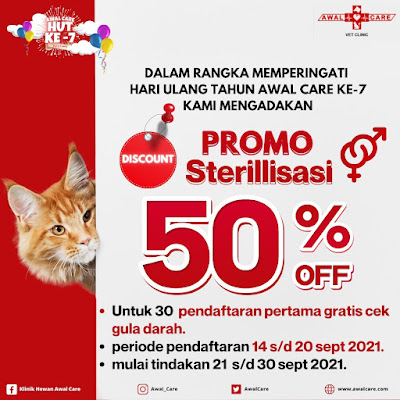 Berita